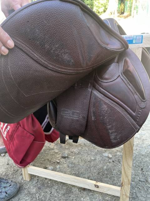Selle CWD juin 2022